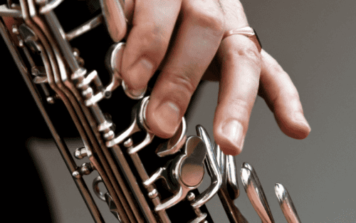 Bassklarinette Test: Die 11 besten (Bestenliste)